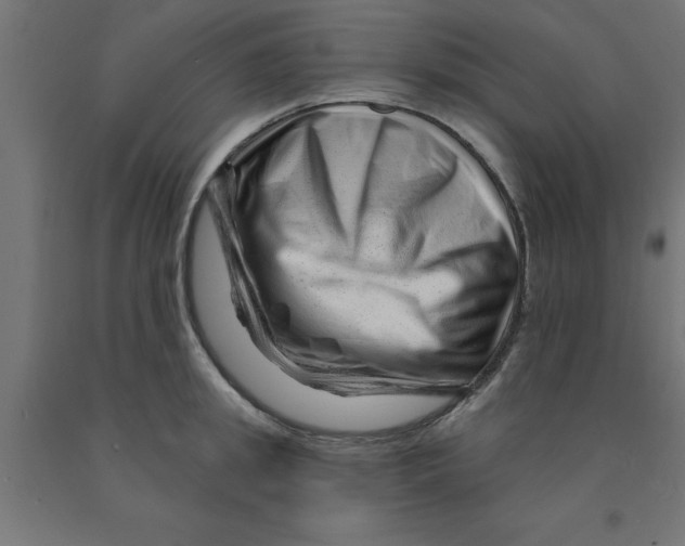 X0000090870949200708241917