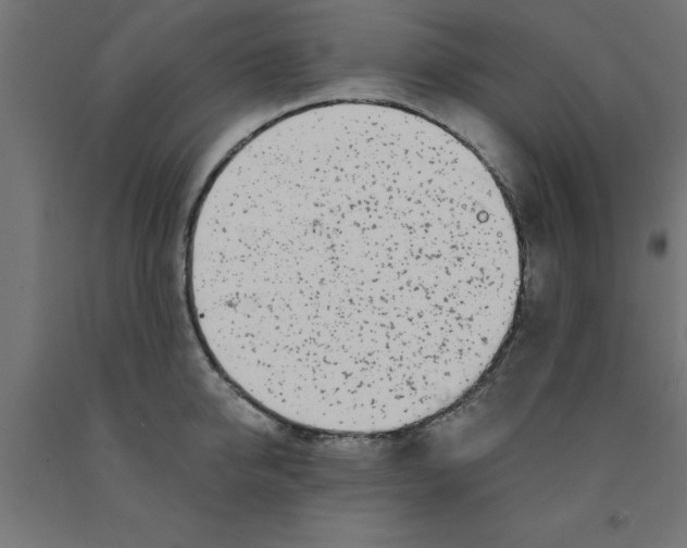 X0000090870950200708241917