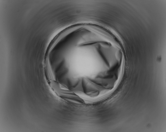 X0000090870951200708241917