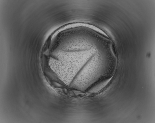 X0000090870952200708241917