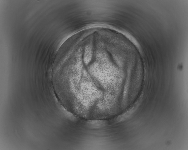 X0000090870953200708241917