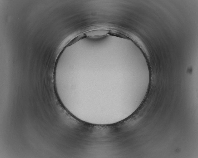 X0000090870954200708241917