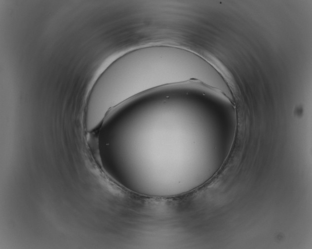 X0000090870956200708241917