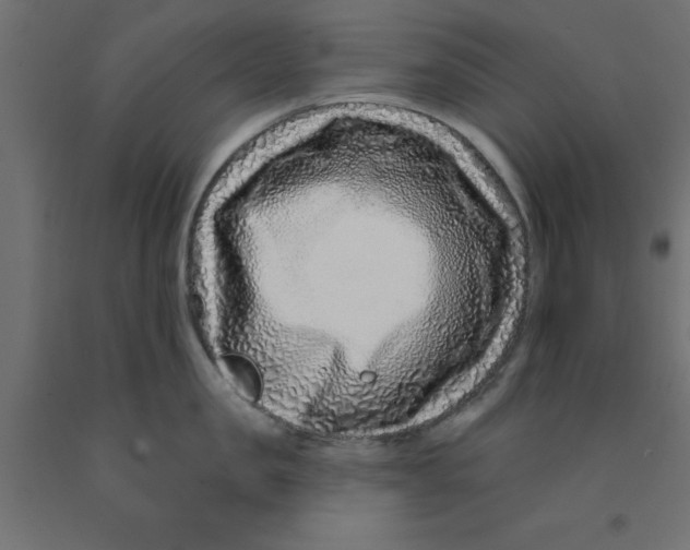 X0000090870957200708241917