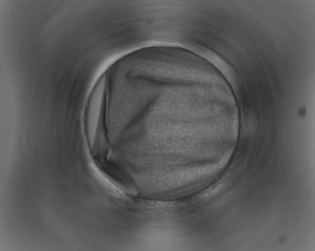 X0000090870958200708241917