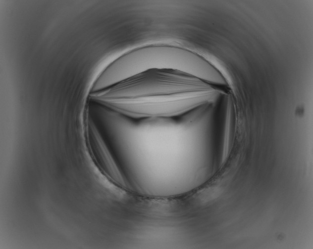 X0000090870959200708241917