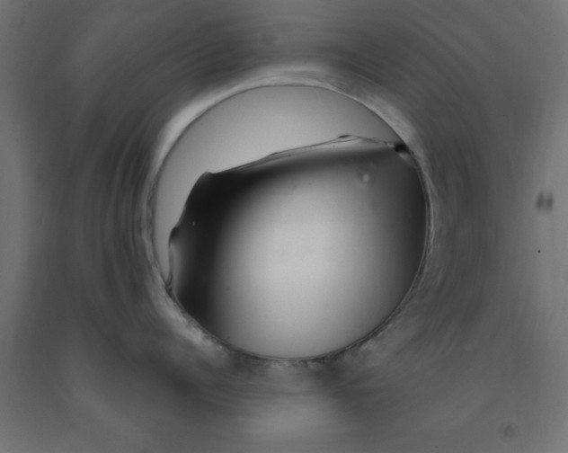 X0000090870960200708241917