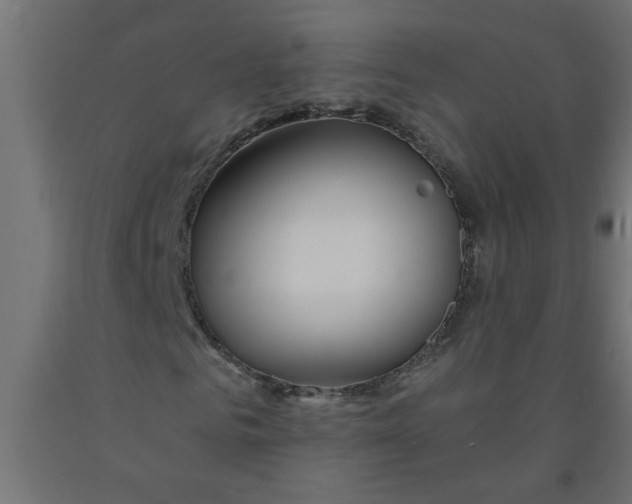 X0000090870961200708241917