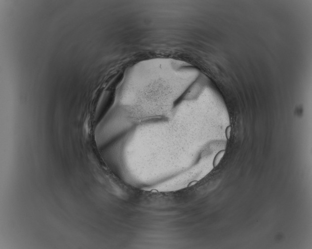 X0000090870962200708241917