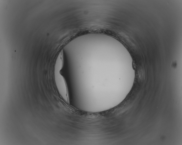 X0000090870964200708241917