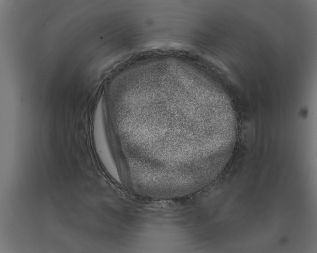 X0000090870966200708241917