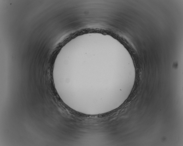 X0000090870968200708241917