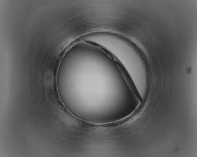 X0000090870969200708241917