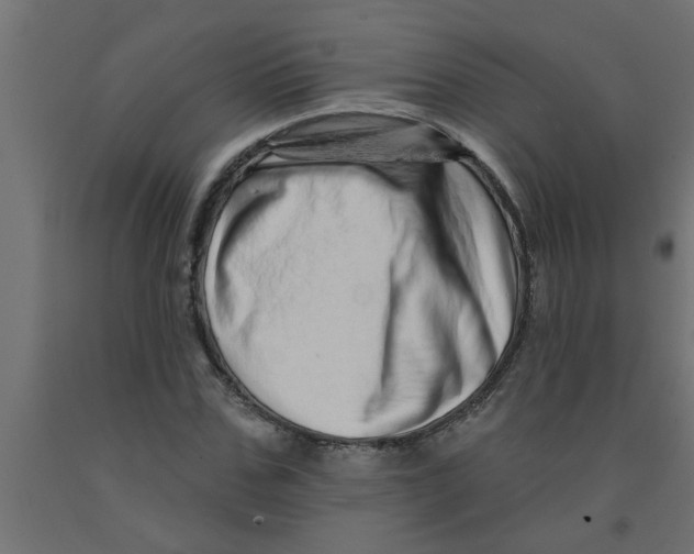 X0000090870971200708241917