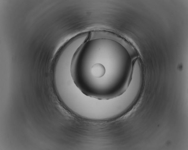 X0000090870973200708241916