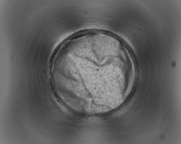 X0000090870974200708241916