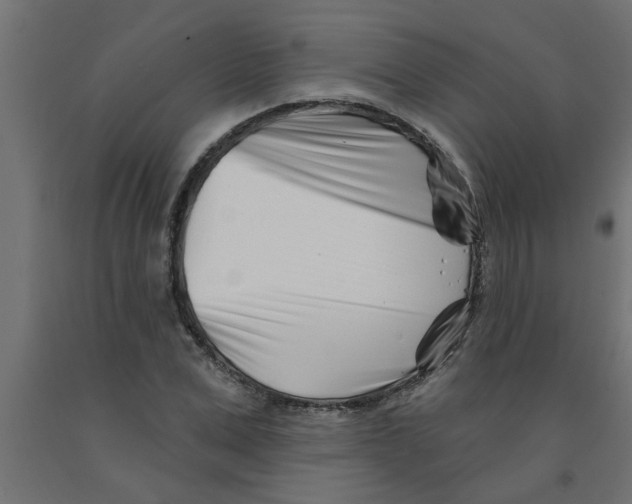 X0000090870975200708241916