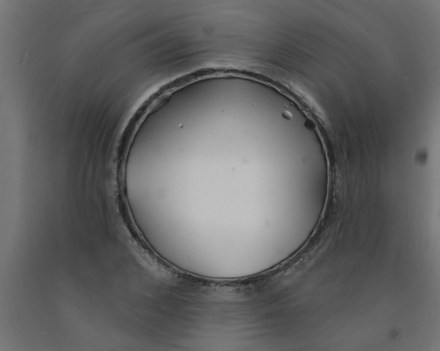 X0000090870976200708241916