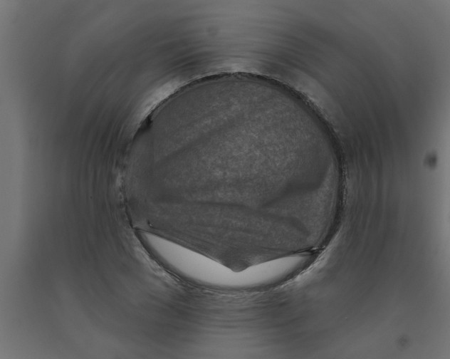 X0000090870977200708241916