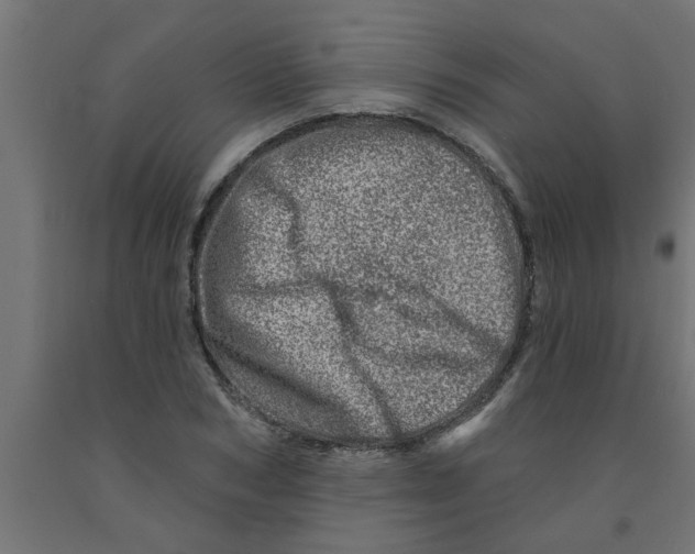 X0000090870978200708241916