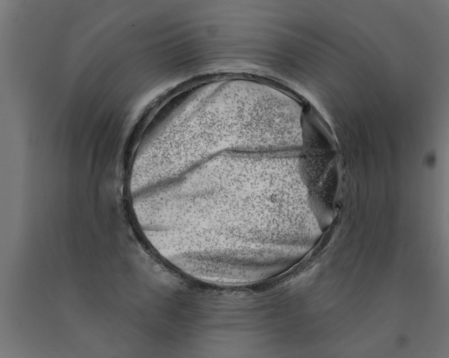 X0000090870979200708241916