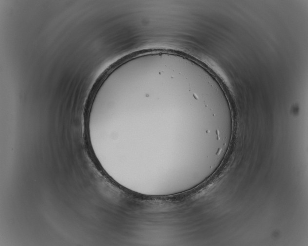 X0000090870980200708241916