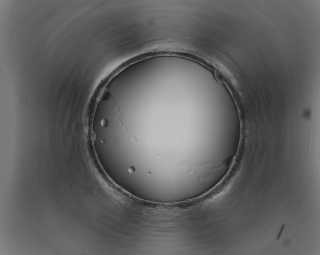 X0000090870981200708241916