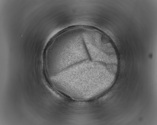 X0000090870982200708241916