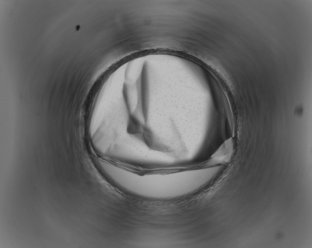 X0000090870983200708241916