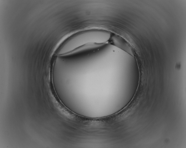 X0000090870984200708241916