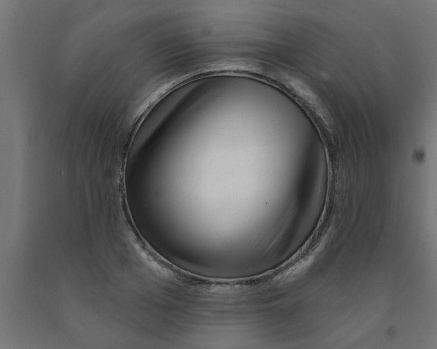 X0000090870985200708241916