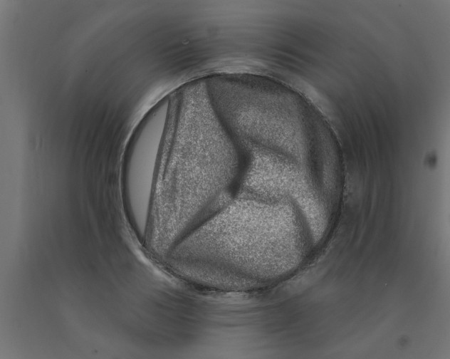 X0000090870986200708241916