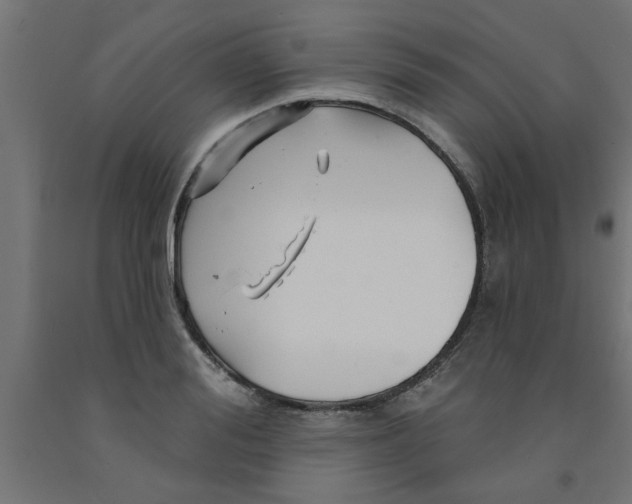 X0000090870988200708241916