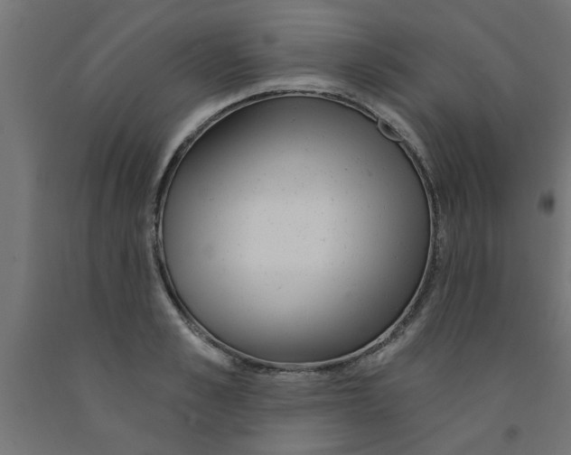 X0000090870989200708241916