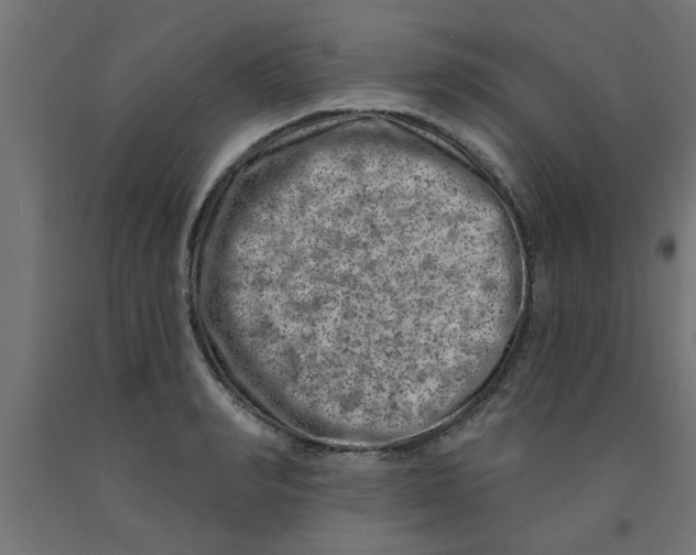 X0000090870990200708241916