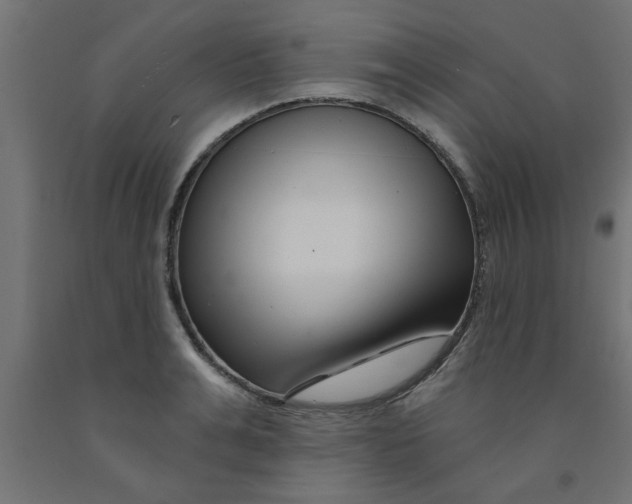 X0000090870991200708241916