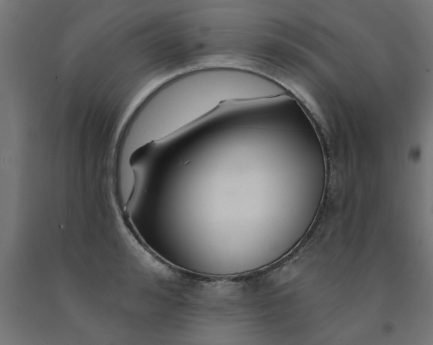 X0000090870992200708241916