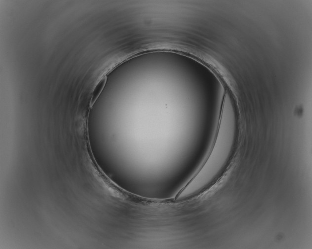 X0000090870993200708241916