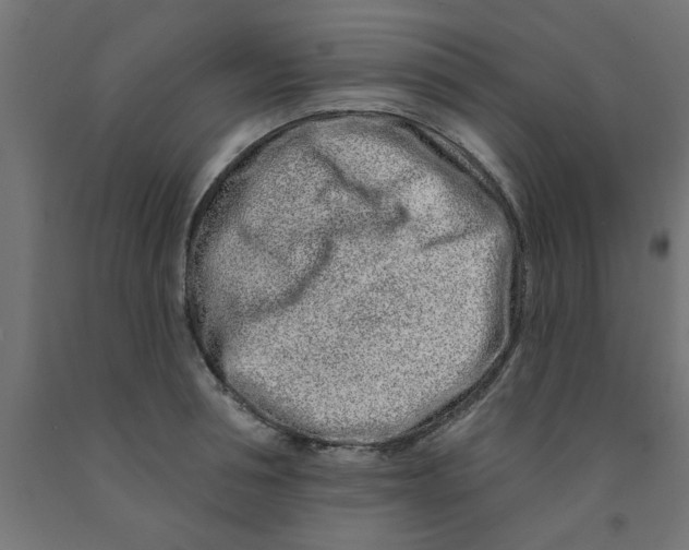 X0000090870994200708241916