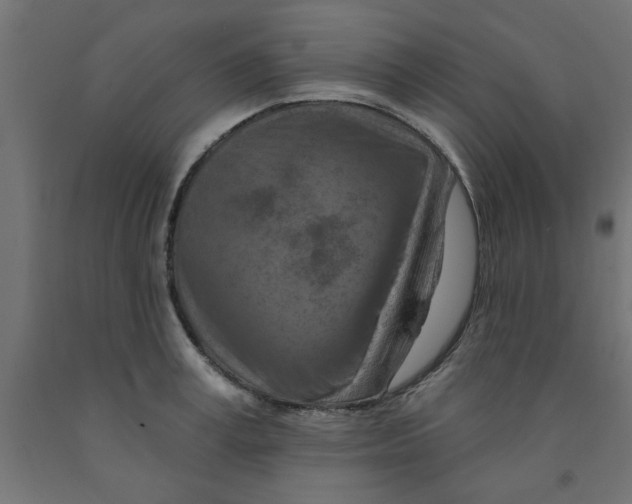 X0000090870995200708241916