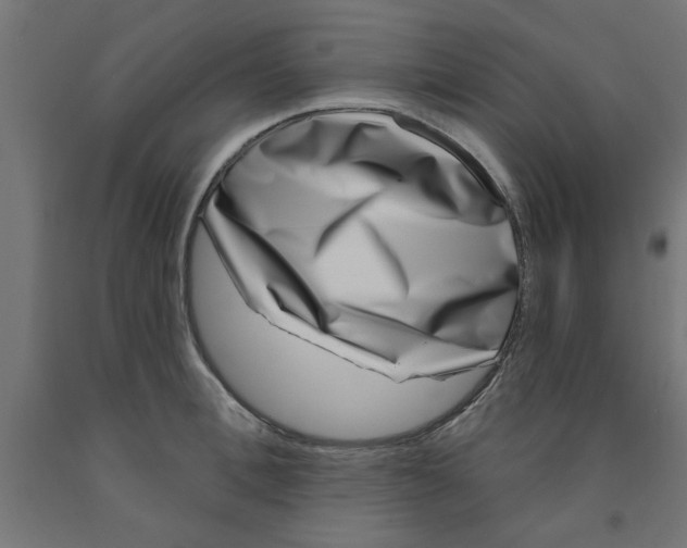 X0000090870996200708241916