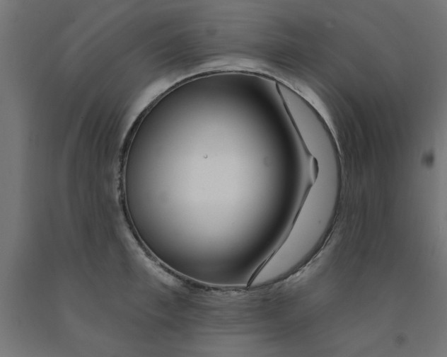 X0000090870997200708241916