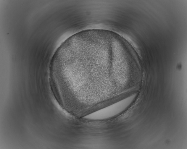 X0000090870998200708241916