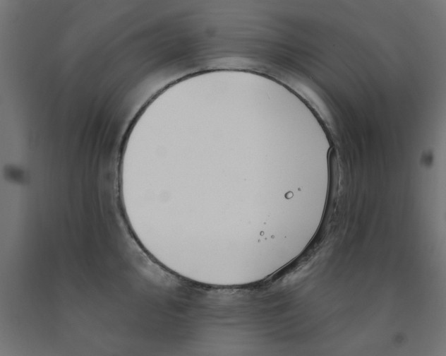 X0000090871000200708241916