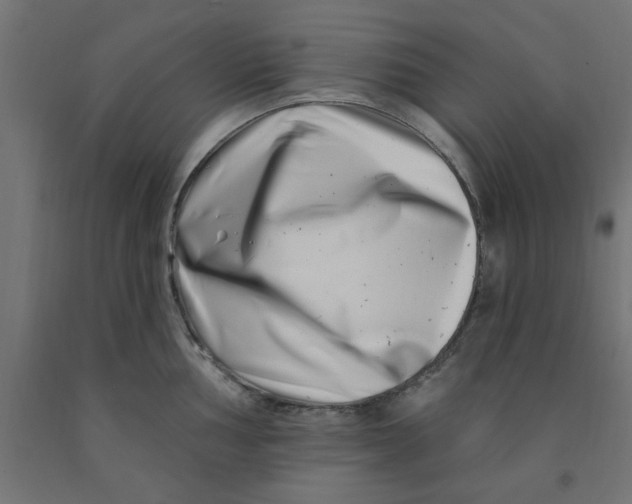 X0000090871002200708241916