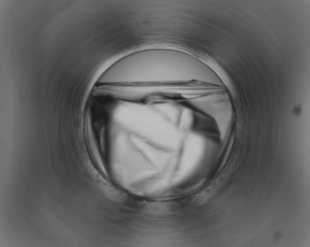 X0000090871004200708241916