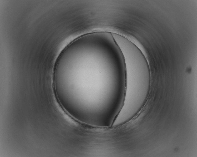 X0000090871005200708241916