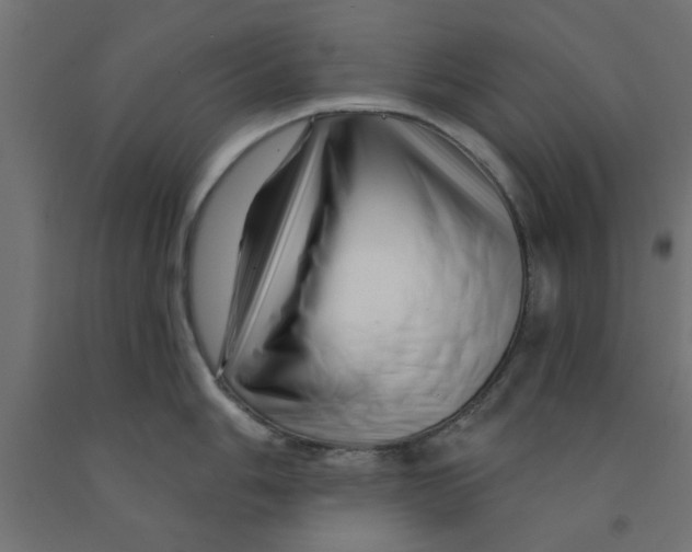 X0000090871006200708241916