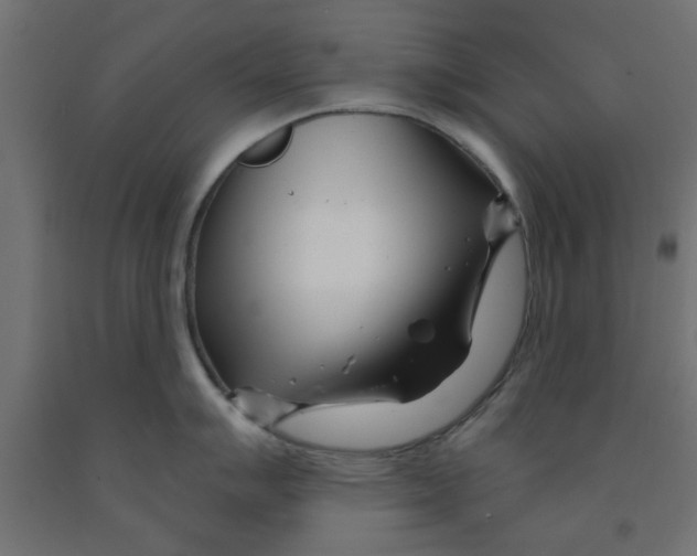 X0000090871007200708241916