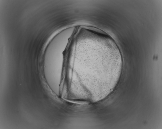 X0000090871008200708241916